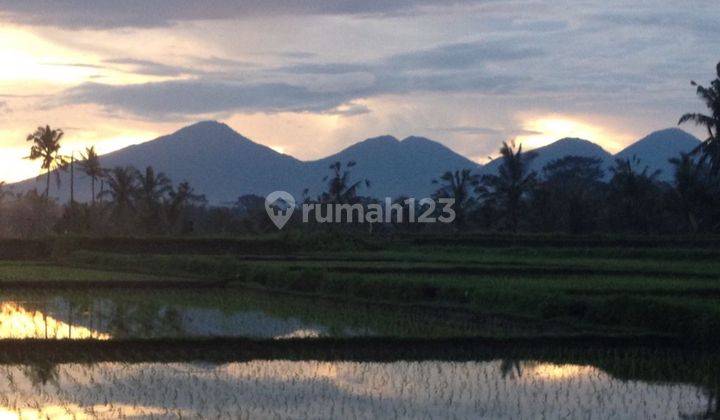 Di Jual Tanah 4 Hectare Di ubud 2