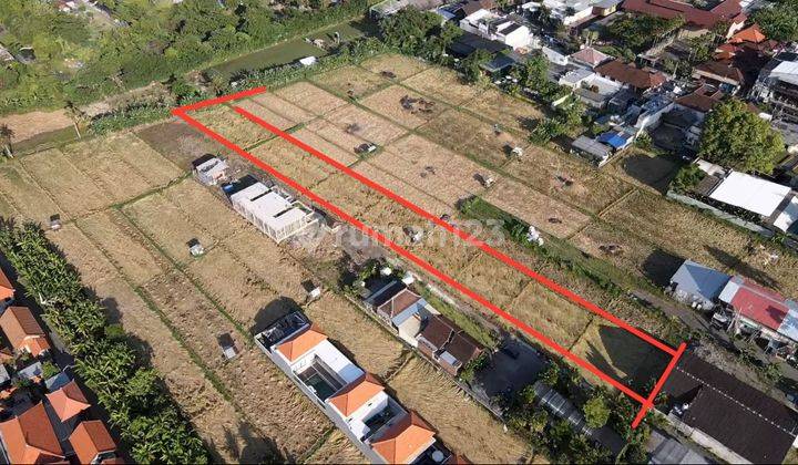 Land For Rent 24 Are Umalas 1 1