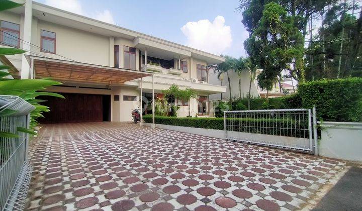 For Rent 5 Bedroom Complex Jervois Park 2