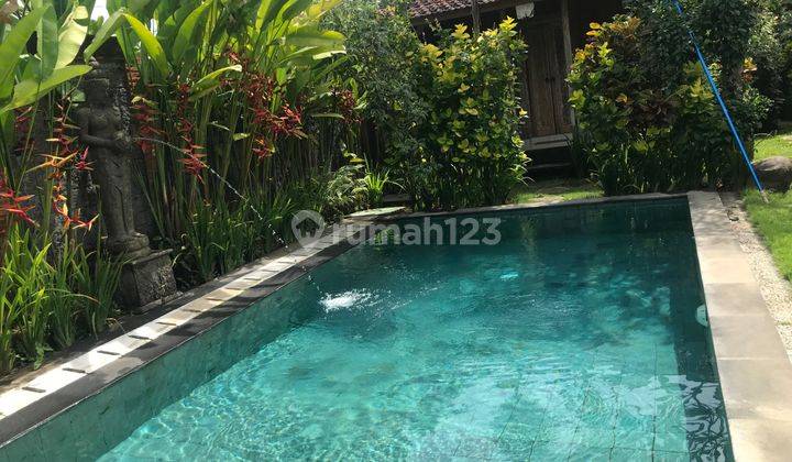 Villa Two bed Room with spacious pool and garden . Furnished 8