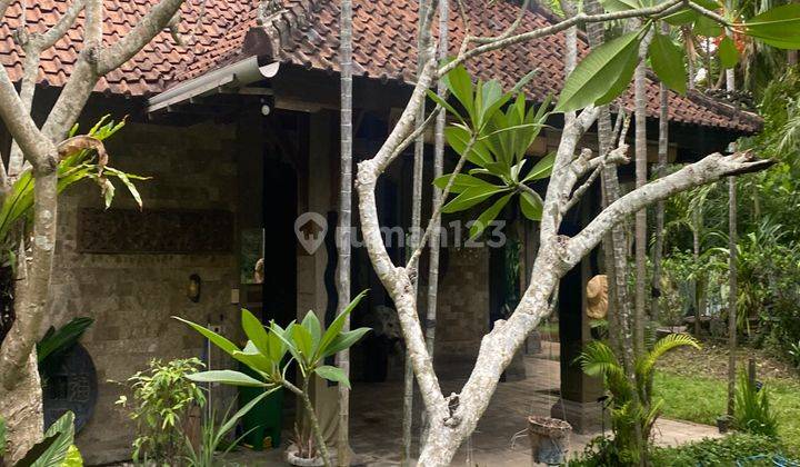 A Villa with Premier Location At Jalan Petitenget  Butuh Renovasi 2