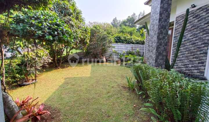 Minimalist House with Spacious Front Yard Green Area 2