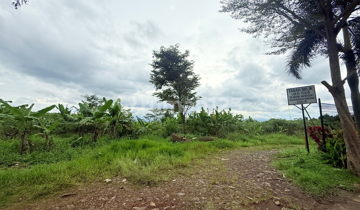 Tanah Di Kawasan Sentul - Ketinggian 400mdpl | Diapit Cluster Tanah Di Kawasan Sentul - Ketinggian 400mdpl | Diapit Cluster