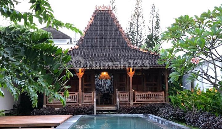 For Rent Semi Villa House in Renon 1