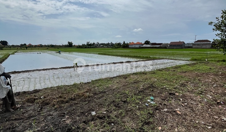 Dijual Tanah Sawah di Kabakaba