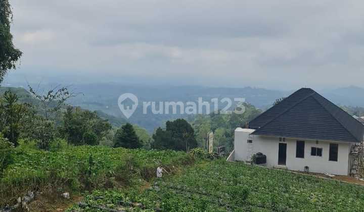 Land for Sale in Bedugul