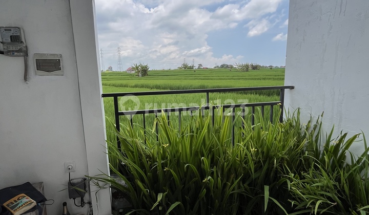 House for Rent in Cepaka 2