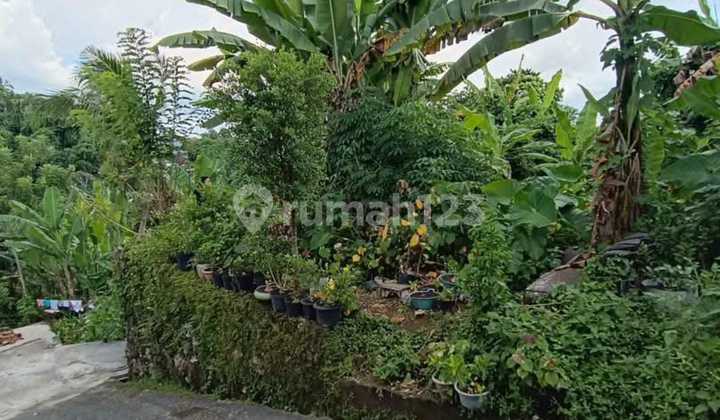 Jual Tanah 3 Are Hanya 470Juta Saja Nego
