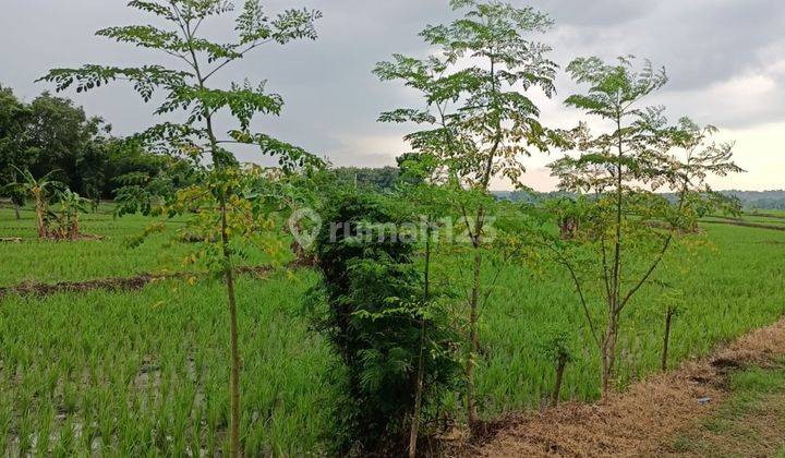 Tanah pinggir  Jl.raya solo sragen 2