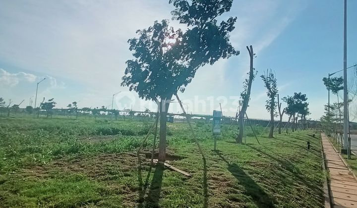 Kavling Komersil Pik2 Hoek Boulevard Harga Termurah Kavling Komersil Pik2 Hoek Boulevard Harga Termurah