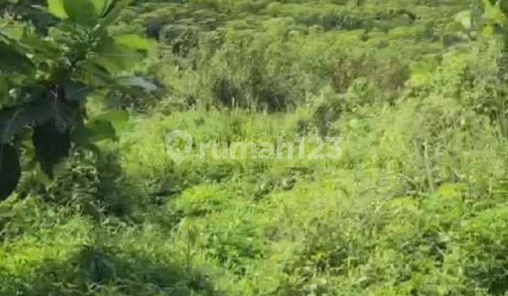 Kavling Sentul Luas 100 Ha Harga Termurah