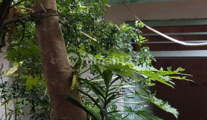 12x24 Rumah Kebon Kacang Tanah Abang Bisa Peruntukan Komersil 12x24 Rumah Kebon Kacang Tanah Abang Bisa Peruntukan Komersil