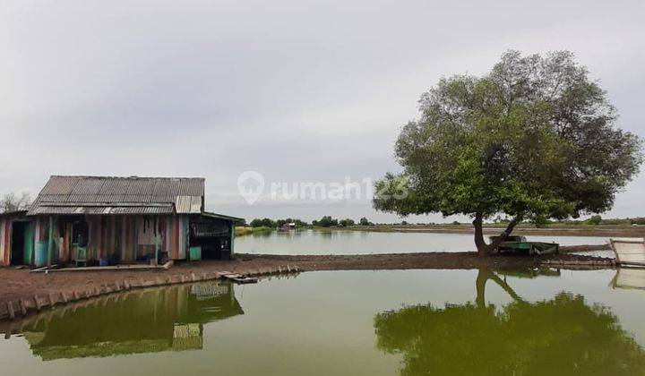 Jual Tanah Luas Dan Empangnya Dengan Akses Mudah di Serang,banten 3