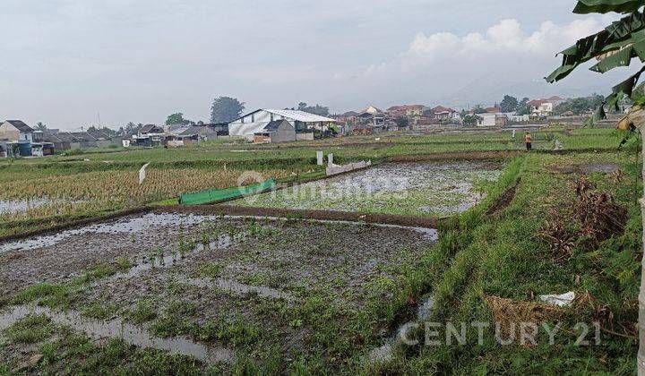 Tanah Sawah Lok Soreang, Dekat RS, Dekat Tol Soroja 2