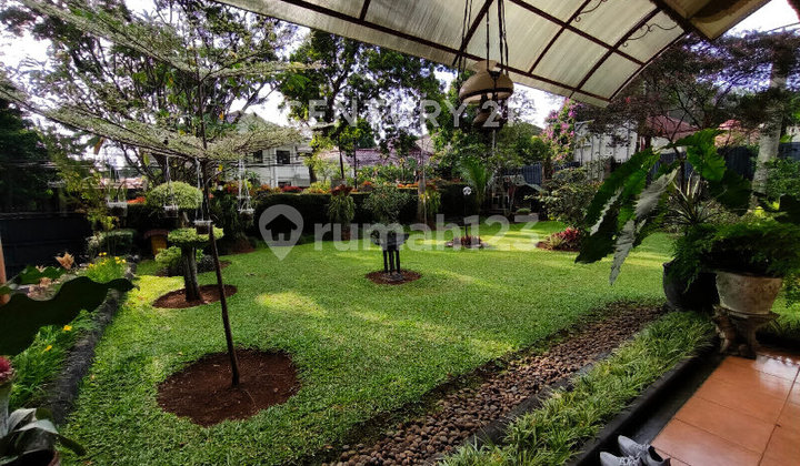 Rumah Asri 1 Lantai Di Sukajadi Kota Bandung Rumah Asri 1 Lantai Di Sukajadi Kota Bandung