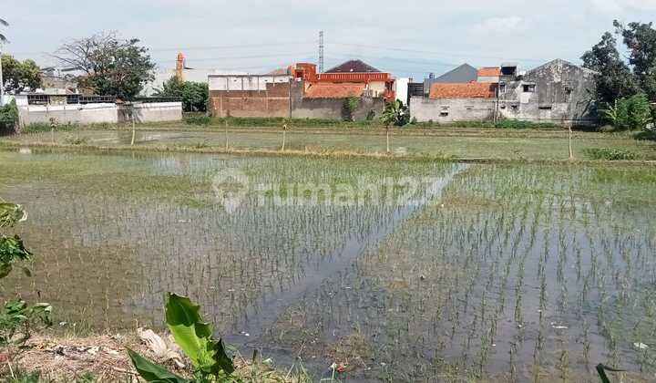 Tanah Sawah Didaerah Cinunuk Cibiru Kabupaten Bandung Tanah Sawah Didaerah Cinunuk Cibiru Kabupaten Bandung
