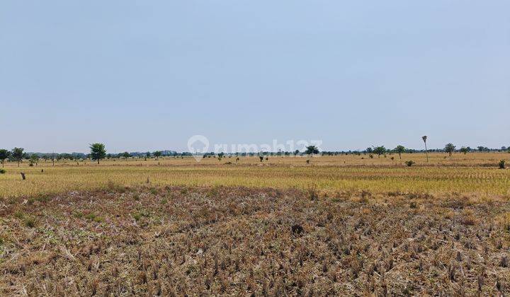 Tanah Area Kertajati, 4km Ke Tol Bandara, Zona Industri 2