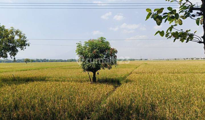 Tanah Di Ligung, Kab Majalengka, Zona Industri, Akses Containe 1