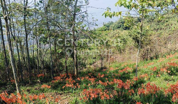 Tanah Lok Jelekong-Arjasari, Tenang, View Bagus, Akses Mobil 1