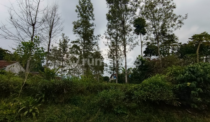 Tanah Matang Siap Bangun, Lok Pasirjambu Ciwidey, Akses 2 Mobil