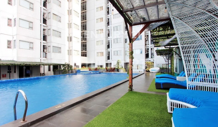 Luxury Apartment Aston Pluit Fully Furnished Pejaringan North Jakarta