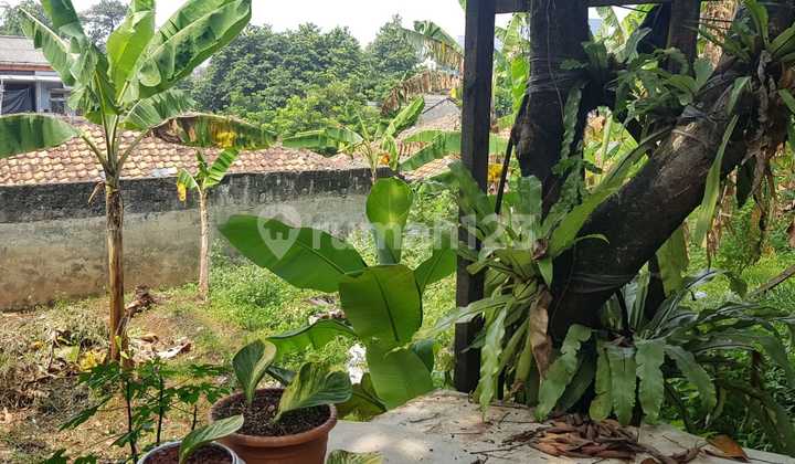 For Sale: Warehouse Including Land, Strategic Location on Jl. Jati Padang Raya, Pasar Minggu, South Jakarta. For Sale: Warehouse Including Land, Strategic Location on Jl. Jati Padang Raya, Pasar Minggu, South Jakarta.