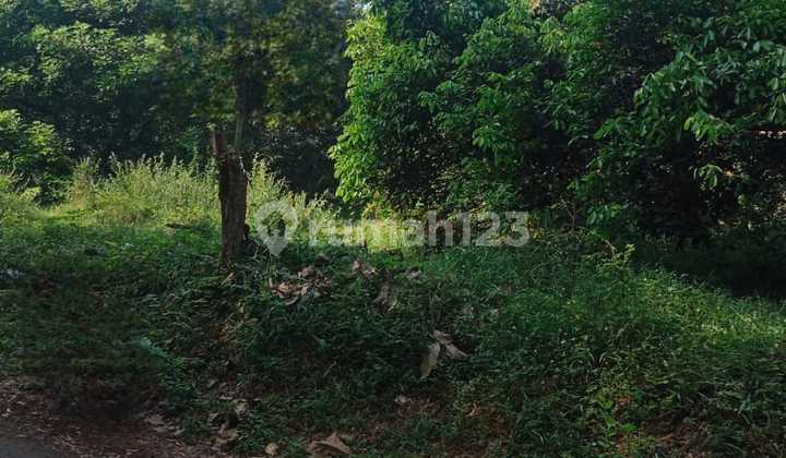 Dijual Tanah Murah Dan Luas Lokasi Strategis Di Kp. Karang Mulya, Purwakarta