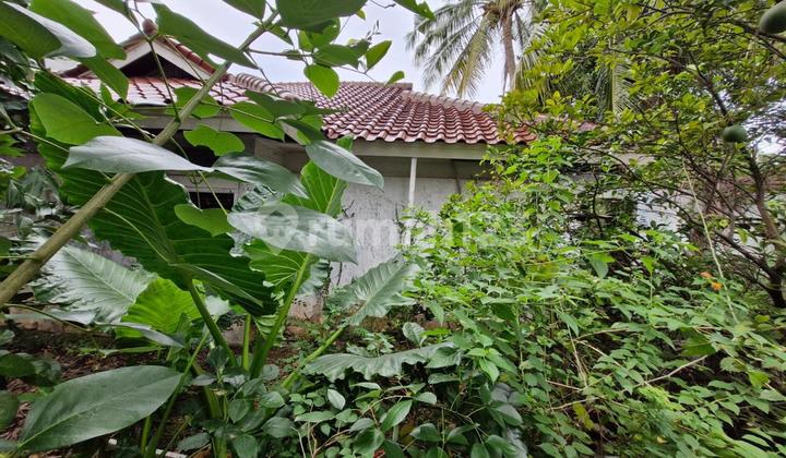 Di Jual Rumah lama hitung tanah di Jl. Bangka Pela Jakarta Selatan Di Jual Rumah lama hitung tanah di Jl. Bangka Pela Jakarta Selatan