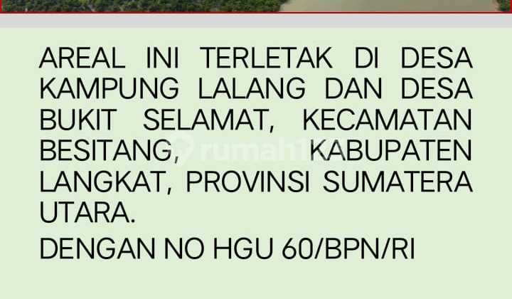 Palm Oil Plantation for Sale, Ready for Harvest, Location Bukit Lawang 360 Ha