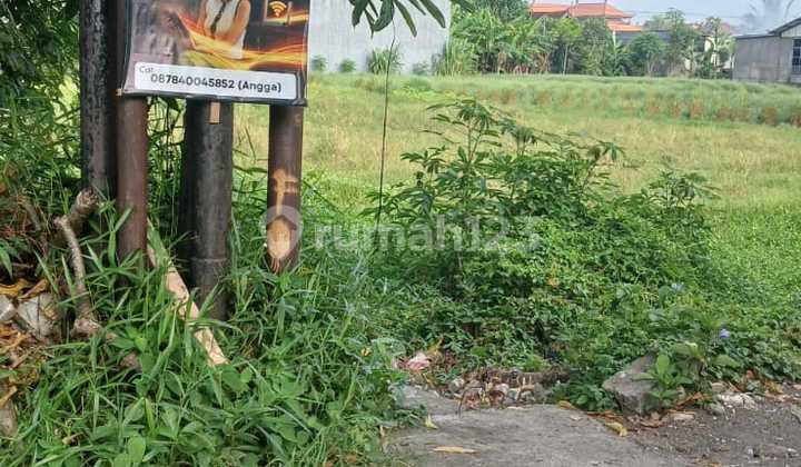 Long Term Land Lease in Renon, Denpasar, Bali, Indonesia Long Term Land Lease in Renon, Denpasar, Bali, Indonesia