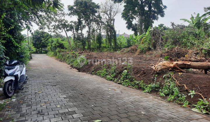 Tanah Kavling Free SHM Jln Trengguli Denpasar Timur Bali Indonesia  1