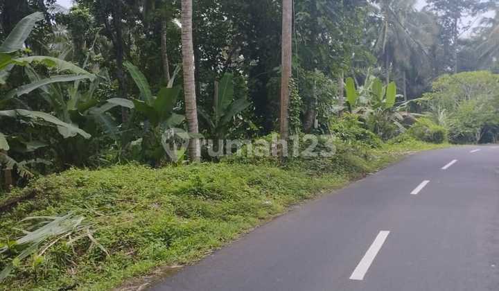 Jual Tanah Jalan Utama Batuaji Kerambitan Tabanan Bali