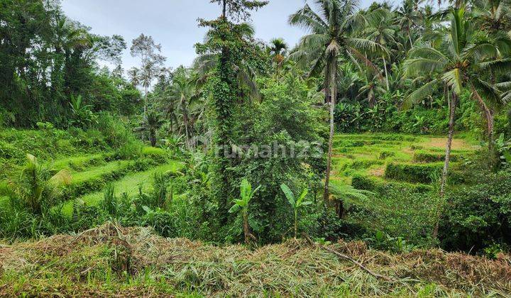 Land for Sale with Rice Field and Forest View Ubud Gianyar Bali Indonesia 1