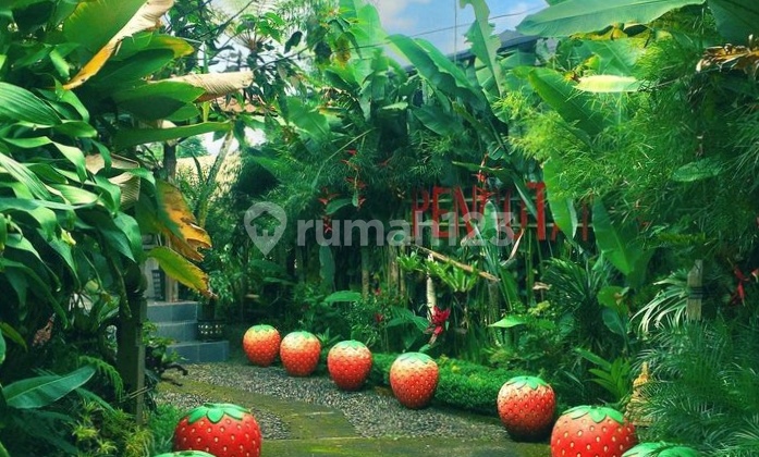 Agrowisata villa dan kebun stroberi  1