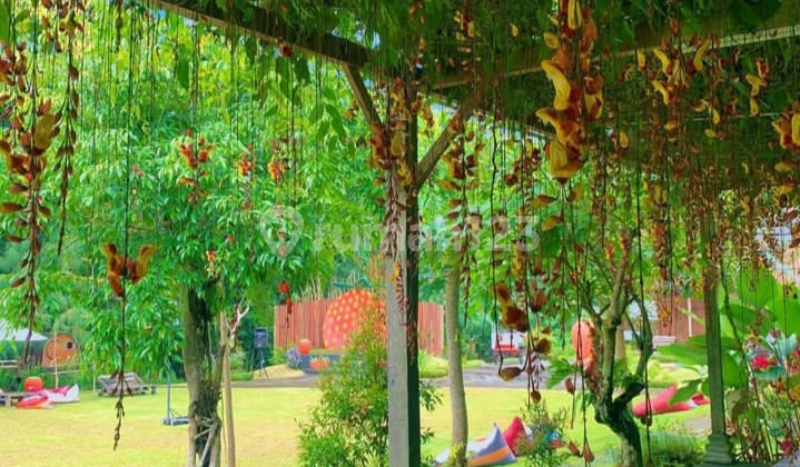 Agrowisata villa dan kebun stroberi  5