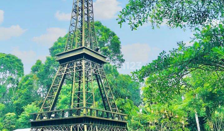 Agrowisata villa dan kebun stroberi  7