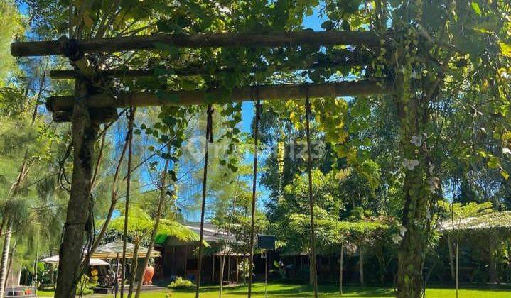 Agrowisata villa dan kebun stroberi  10