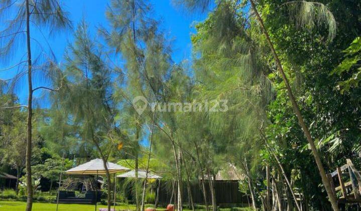 Agrowisata villa dan kebun stroberi  14
