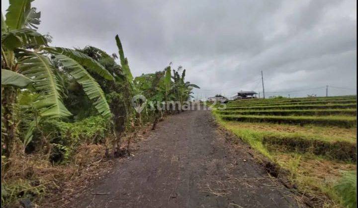 Tanah view sawah Cemagi Mengwi bali 1