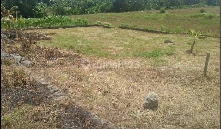 Tanah view sawah Cemagi Mengwi bali 2