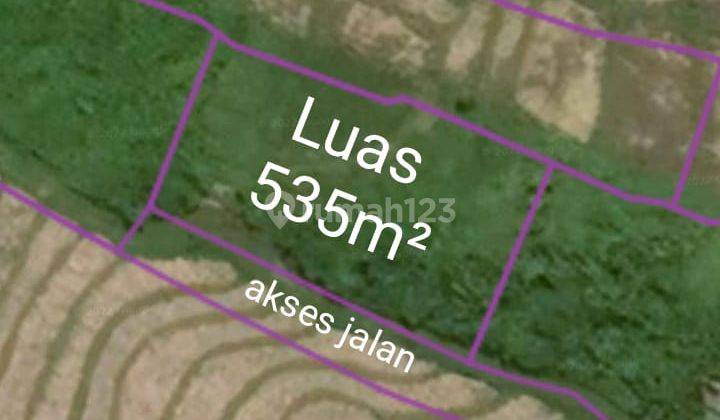 Tanah view sawah Cemagi Mengwi bali 5