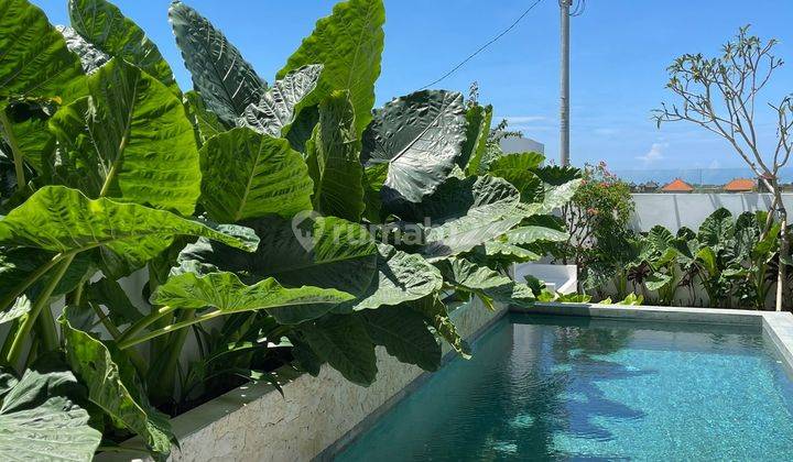 Leasehold villa in pantai lima canggu 20 tahun 16