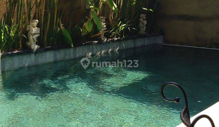 Rumah Semi Villa Sesetan Denpasar Selatan Bali Available 25februari 1