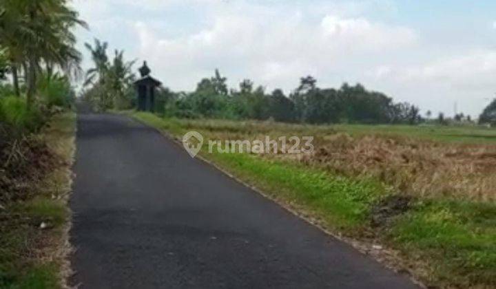 Tanah full view sawah buwit Kediri Tabanan Bali  4