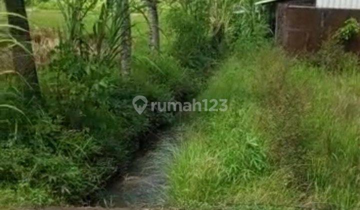 Tanah full view sawah buwit Kediri Tabanan Bali  5