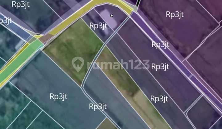Tanah full view sawah buwit Kediri Tabanan Bali  6