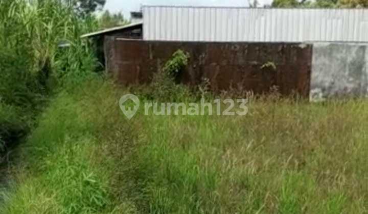 Tanah full view sawah buwit Kediri Tabanan Bali  16