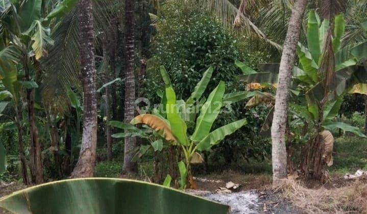 Tanah sewa jangka panjang view hutan dan sungai Gianyar dekat Ubud Bali Indonesia  2