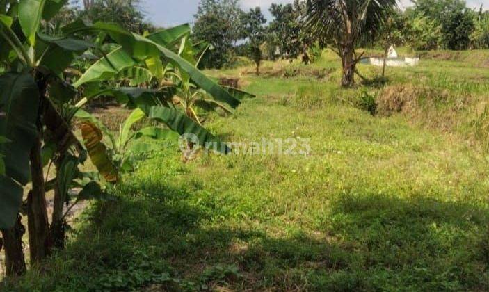 Tanah sewa jangka panjang view hutan dan sungai Gianyar dekat Ubud Bali Indonesia  1