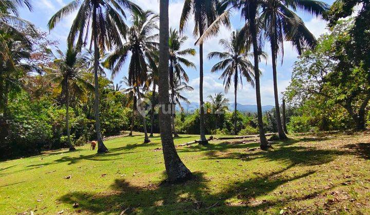 Jual tanah view gunung dan pantai Soka Tabanan Bali Indonesia  1